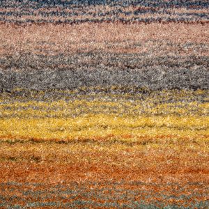 Portofino Multi 04 170x230